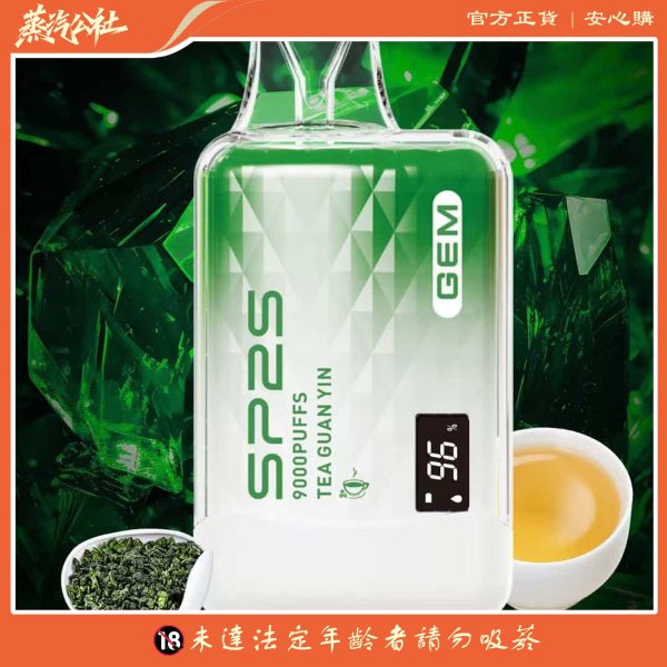 SP2S 9000 PUFFS 拋棄式電子煙 一次性霧化桿