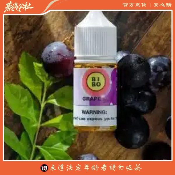 BIBO煙油 無尼古丁煙油  30ml 0丁小煙油