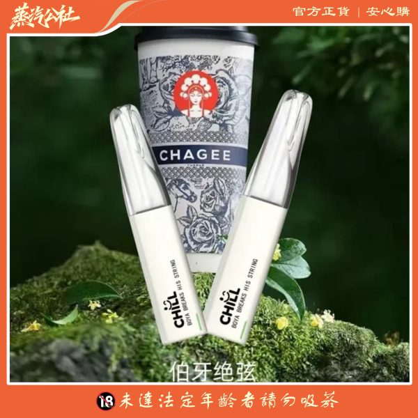 首页 CHILL 8800口 | 一次性拋棄式電子煙