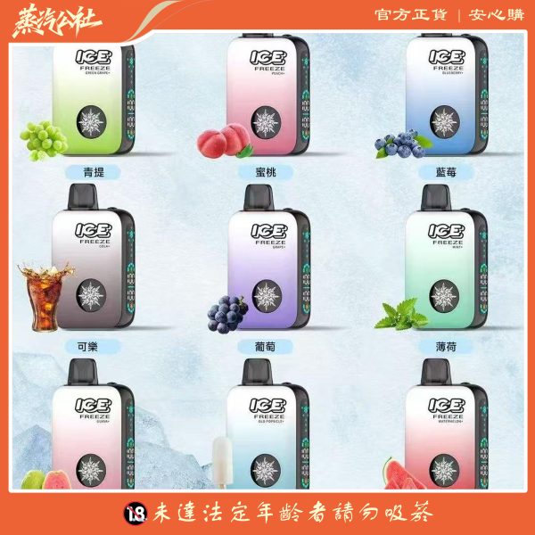 ICE FREEZE 10000 口 抛棄式一次性 四檔涼度調節 20ML煙油 台灣現貨