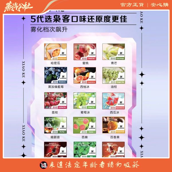 XIAOKE五代煙彈 霧化彈 適用Relx主機四五六代 五盒送主機